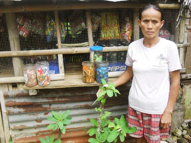 Borrower image