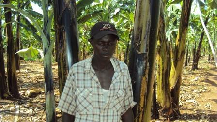 Borrower image