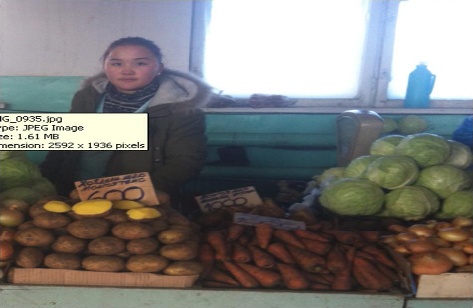 Borrower image