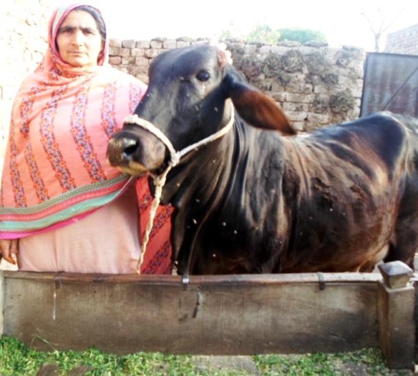 Borrower image