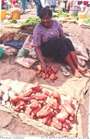 Borrower image